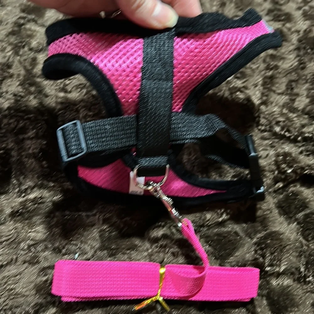 BOGO Pet Harness and Leash